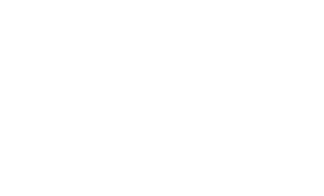 Logo FUndacion Siendo